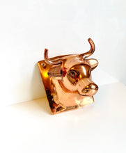 Load image into Gallery viewer, Vintage Bronze Bull Wall Mount
