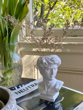 Load image into Gallery viewer, Grecian Vase Bust
