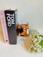 Load image into Gallery viewer, Vintage Bronze Bull Wall Mount
